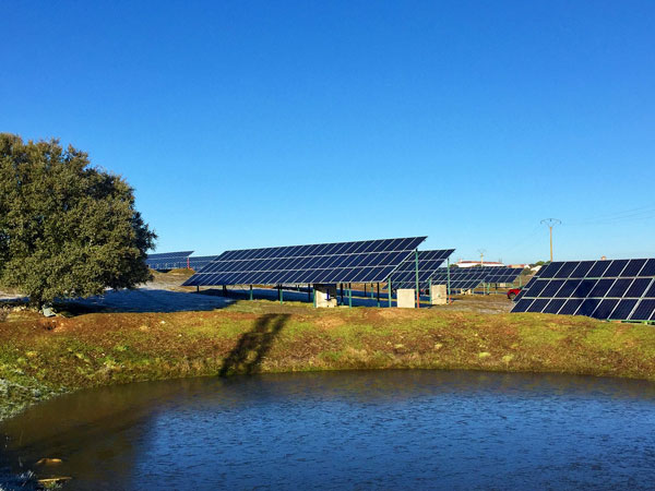 Instalaciones fotovoltaicas | Local y Sostenible